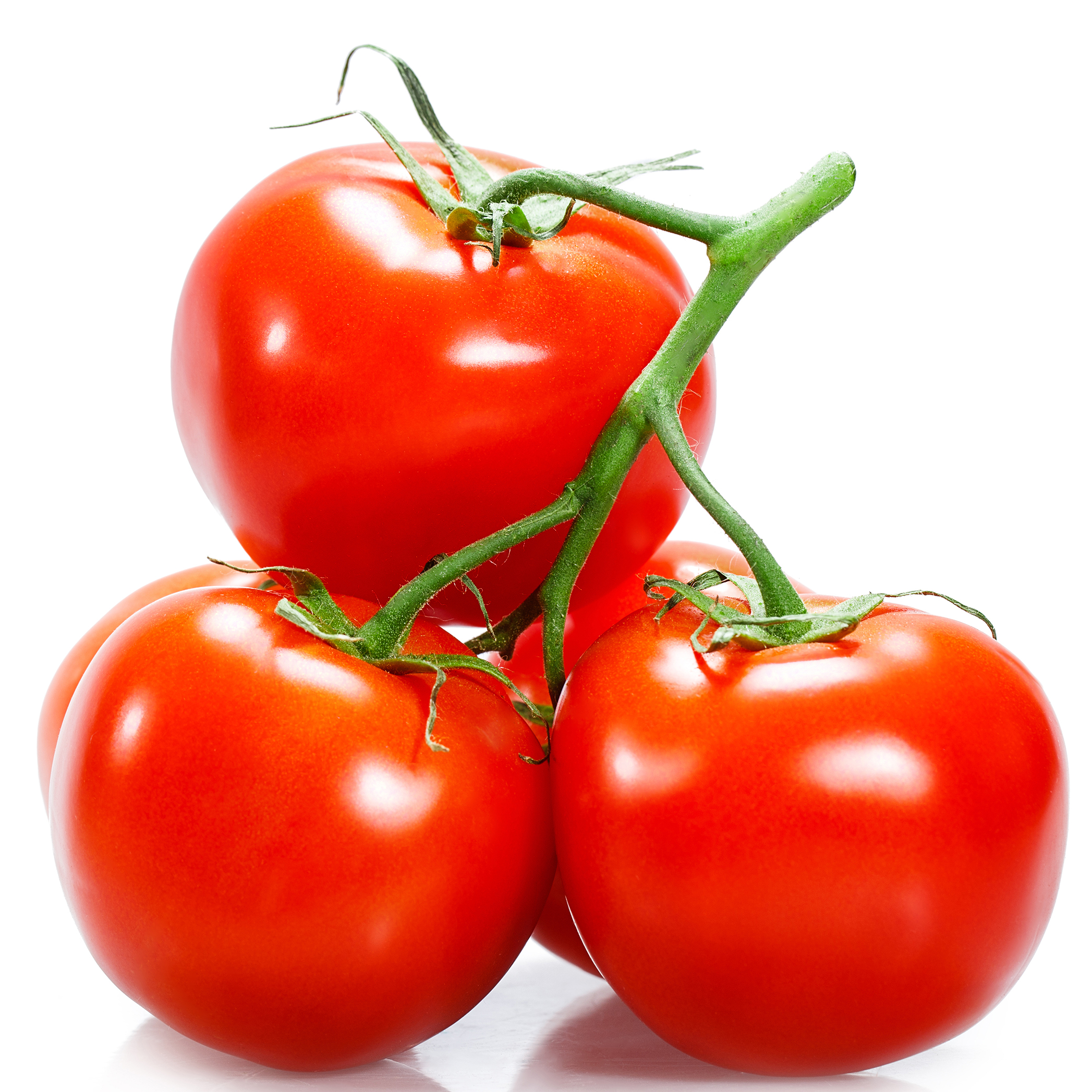 Tomato (টমেটো)
